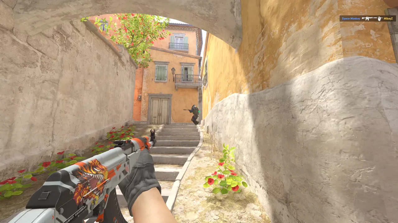 highlight